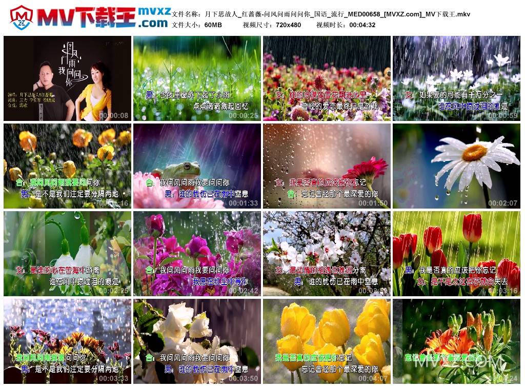 月下思故人_红蔷薇-问风问雨问问你_国语_流行_MED00658